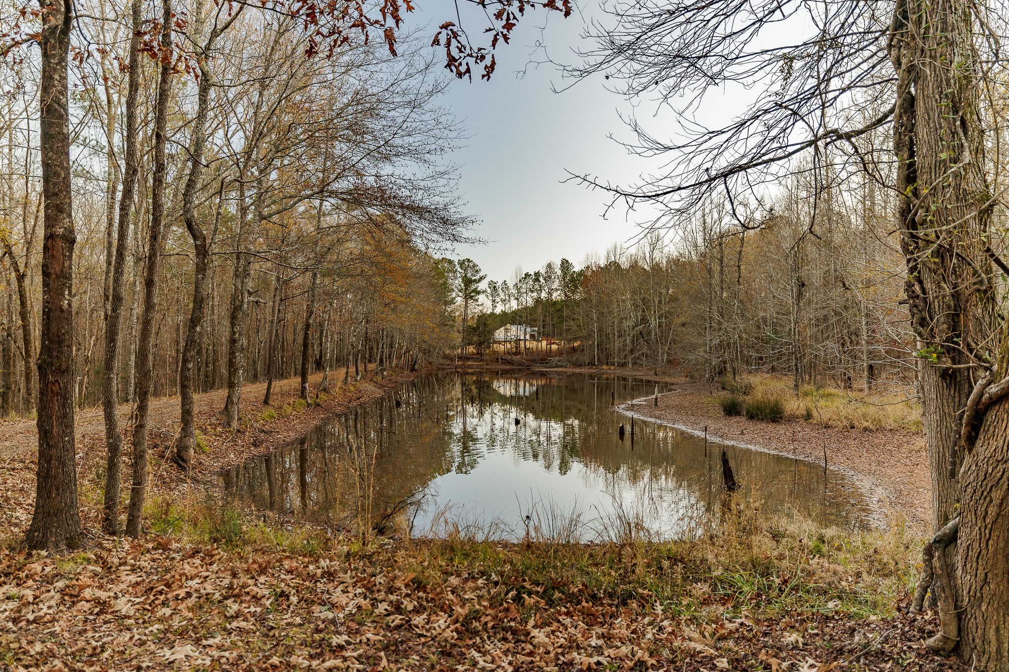 8548 Elberton Road Tignall, GA 30668 - Photo 37 of 50 a view of a lake with a house in the background