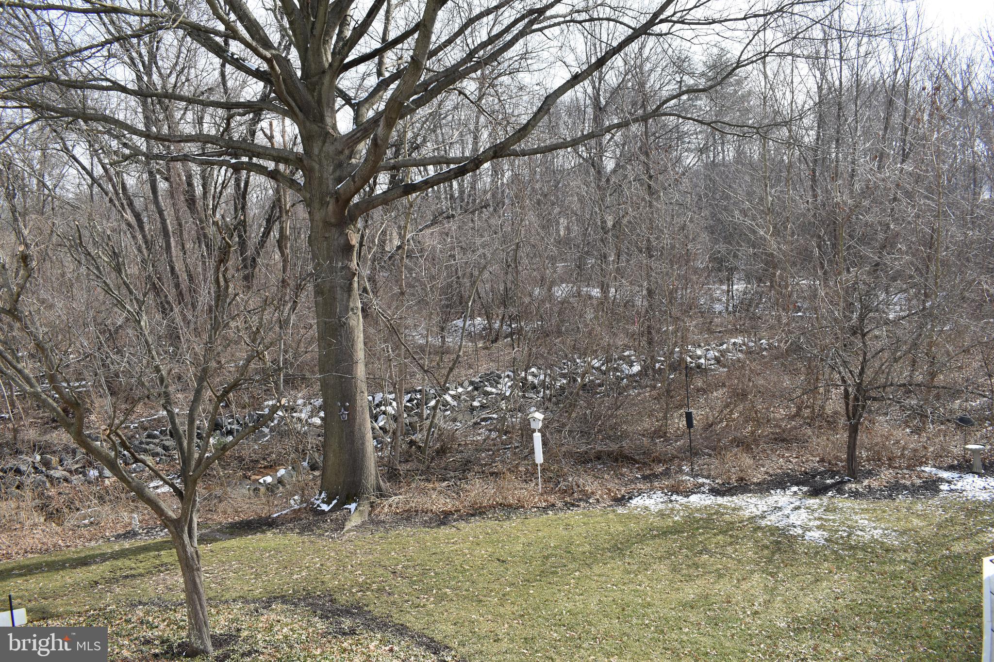 4420 Wynn Road Baltimore, MD 21236 - Photo 38 of 43 a backyard of a house with lots of green space