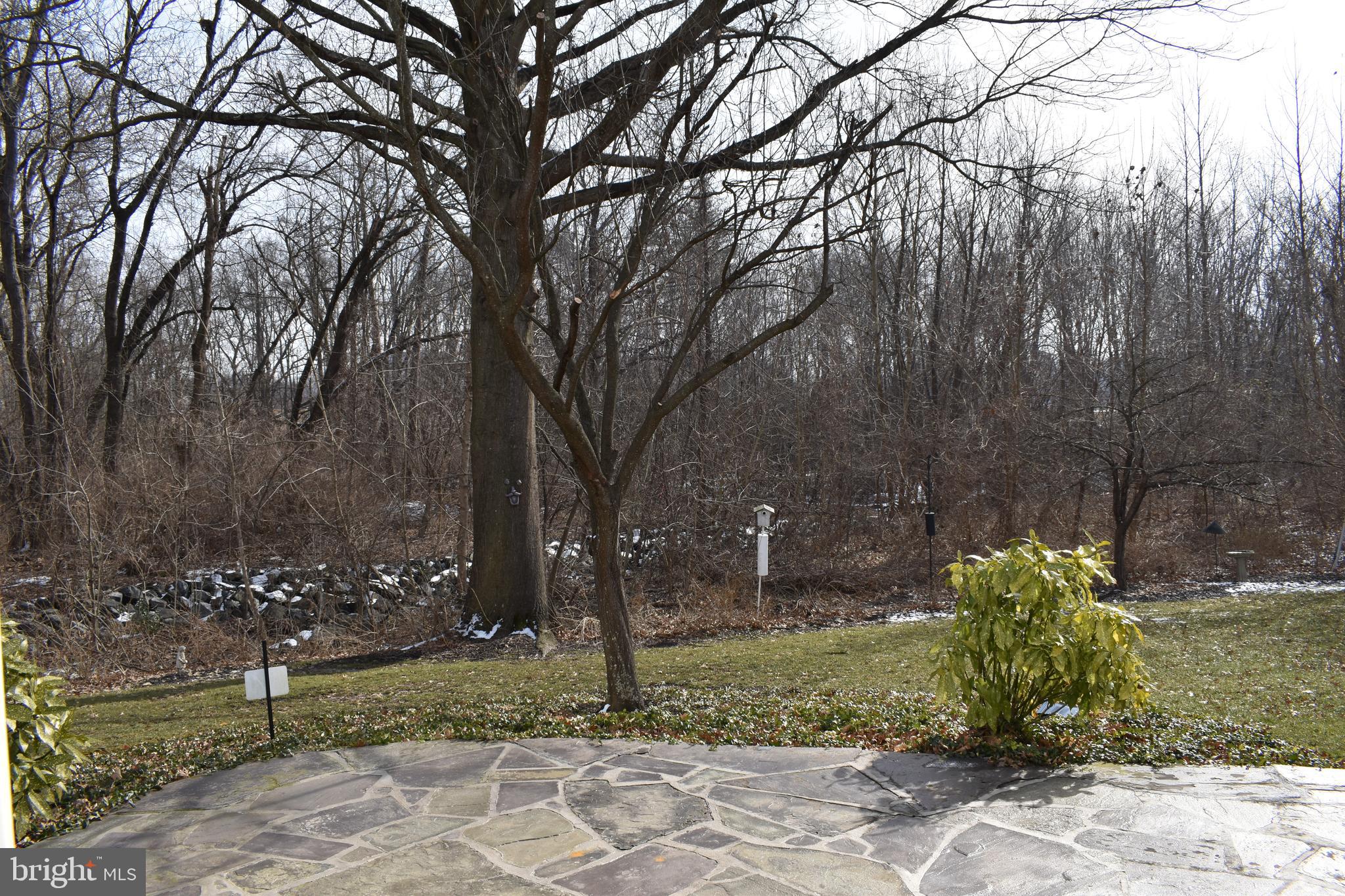 4420 Wynn Road Baltimore, MD 21236 - Photo 39 of 43 a view of a garden with a tree