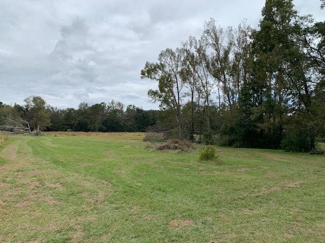 16550 Pne Grv Rd Extension North Bay Minette, AL 36507 - Photo 31 of 42