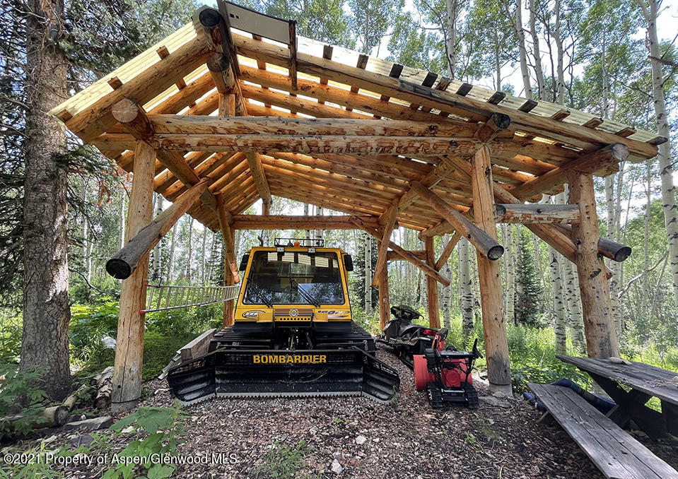 2500 Little Annie Road Aspen, CO 81612 - Photo 18 of 18 a small garden covered with tall trees