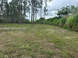 19440 Southwest 332nd Street Homestead, FL 33034 - Photo 3 of 6