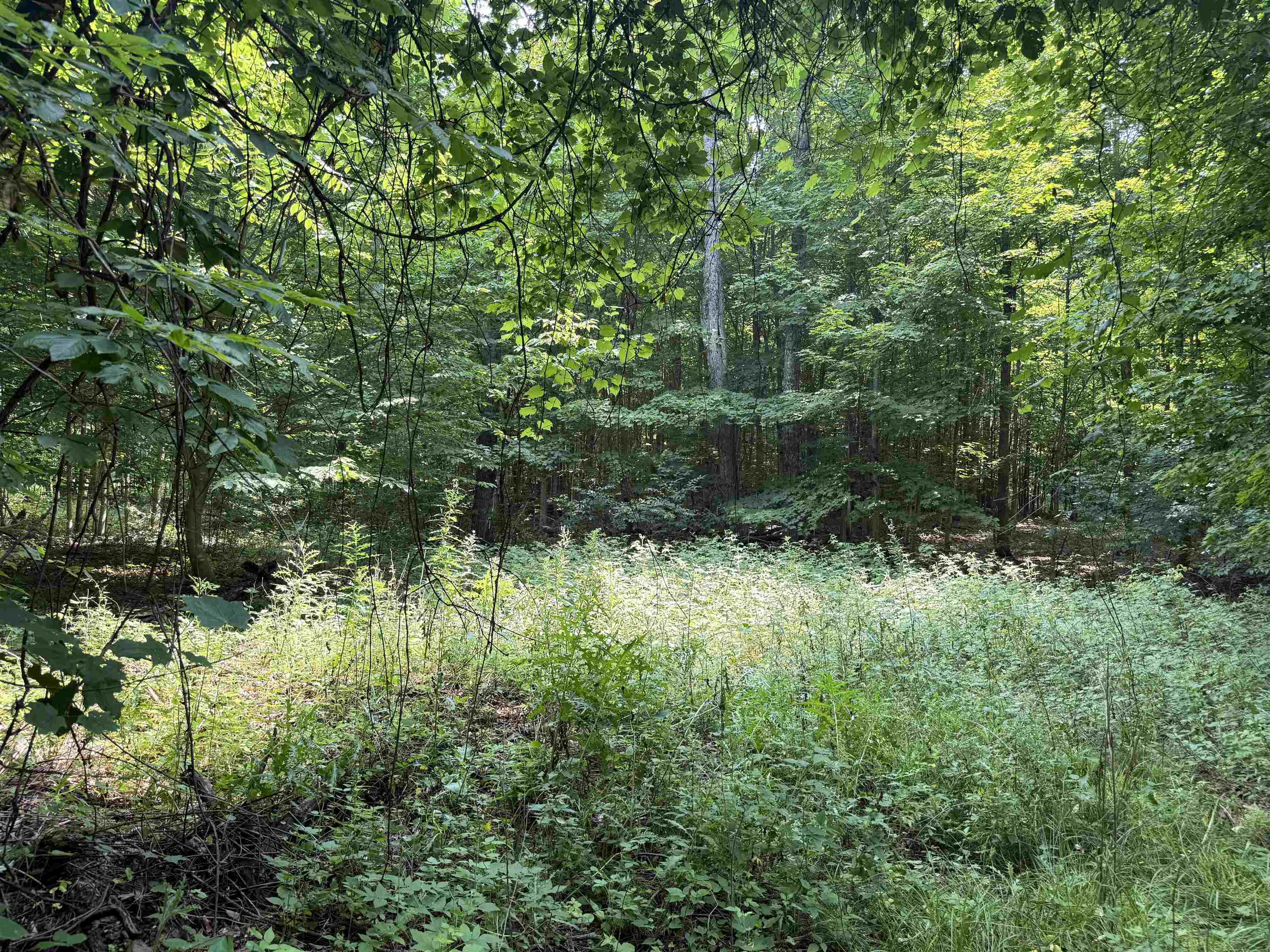 Crouch Road Fife Lake, MI 49633 - Photo 25 of 30 Gallery Image 25