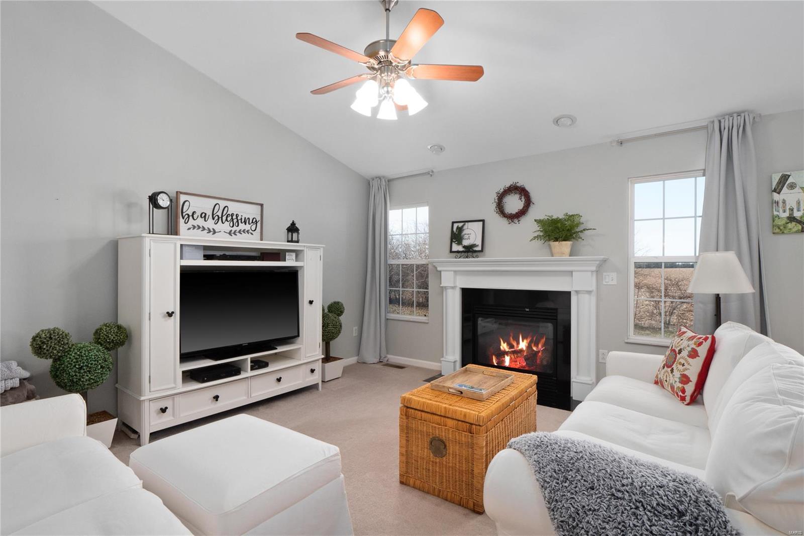 424 Aaron Drive Belleville, IL 62220 - Photo 13 of 30