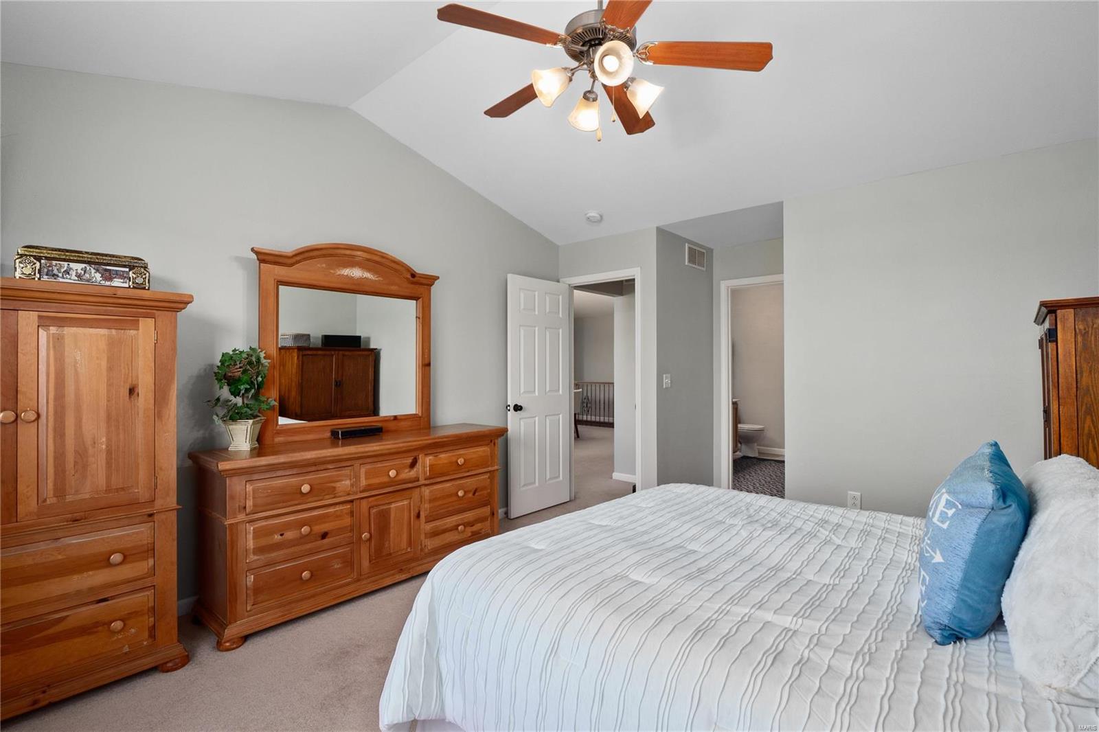 424 Aaron Drive Belleville, IL 62220 - Photo 24 of 30