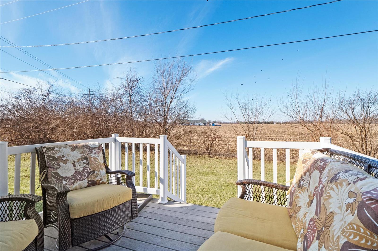 424 Aaron Drive Belleville, IL 62220 - Photo 4 of 30