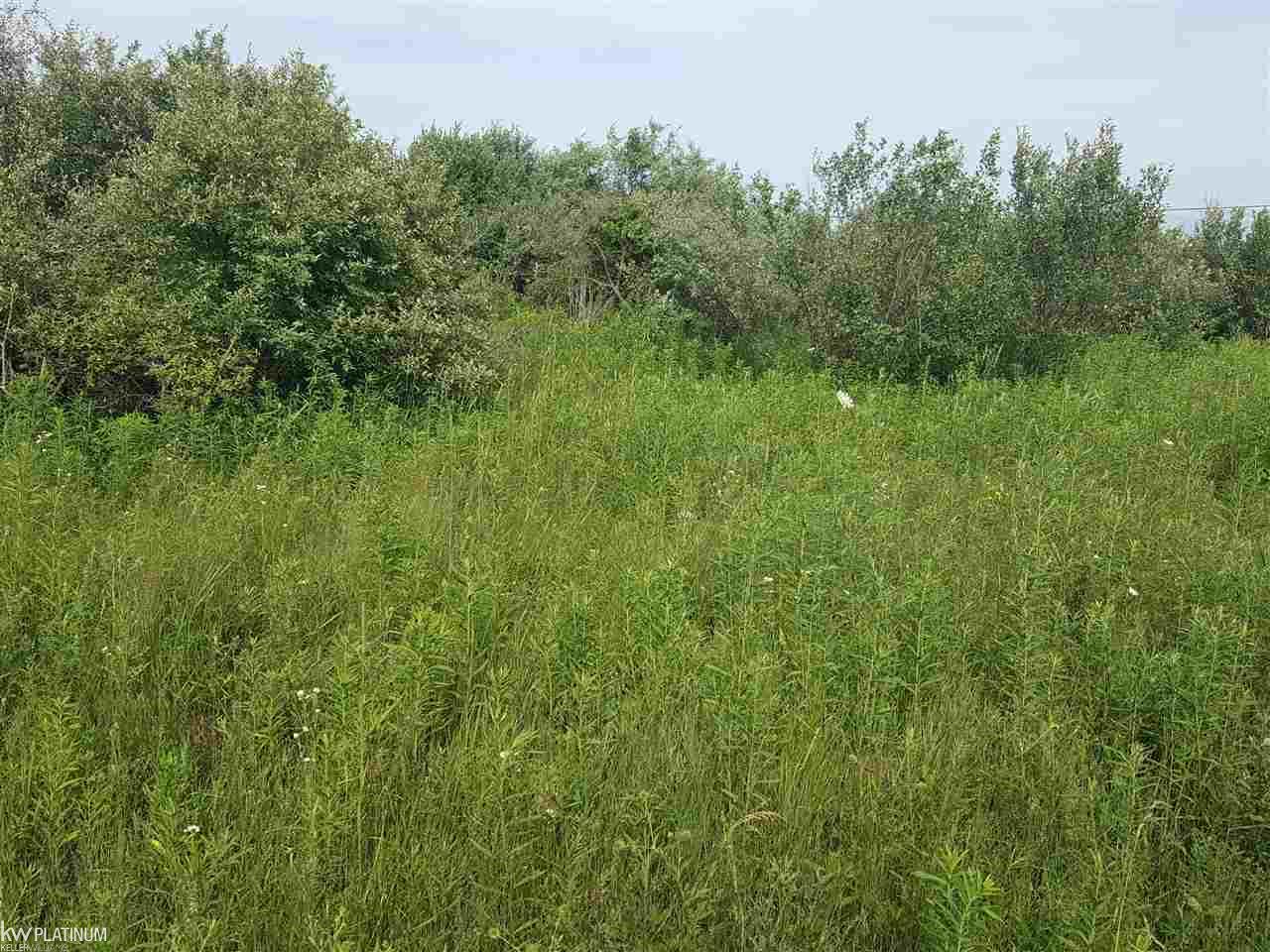 0 Foley Capac, MI 48014 - Photo 1 of 1