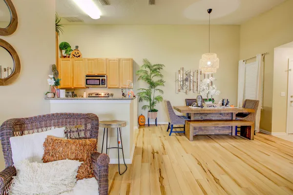 a living room with a couch and potted plants with wooden floor