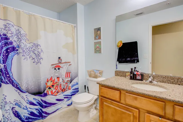 a bathroom with a sink toilet vanity and curtain