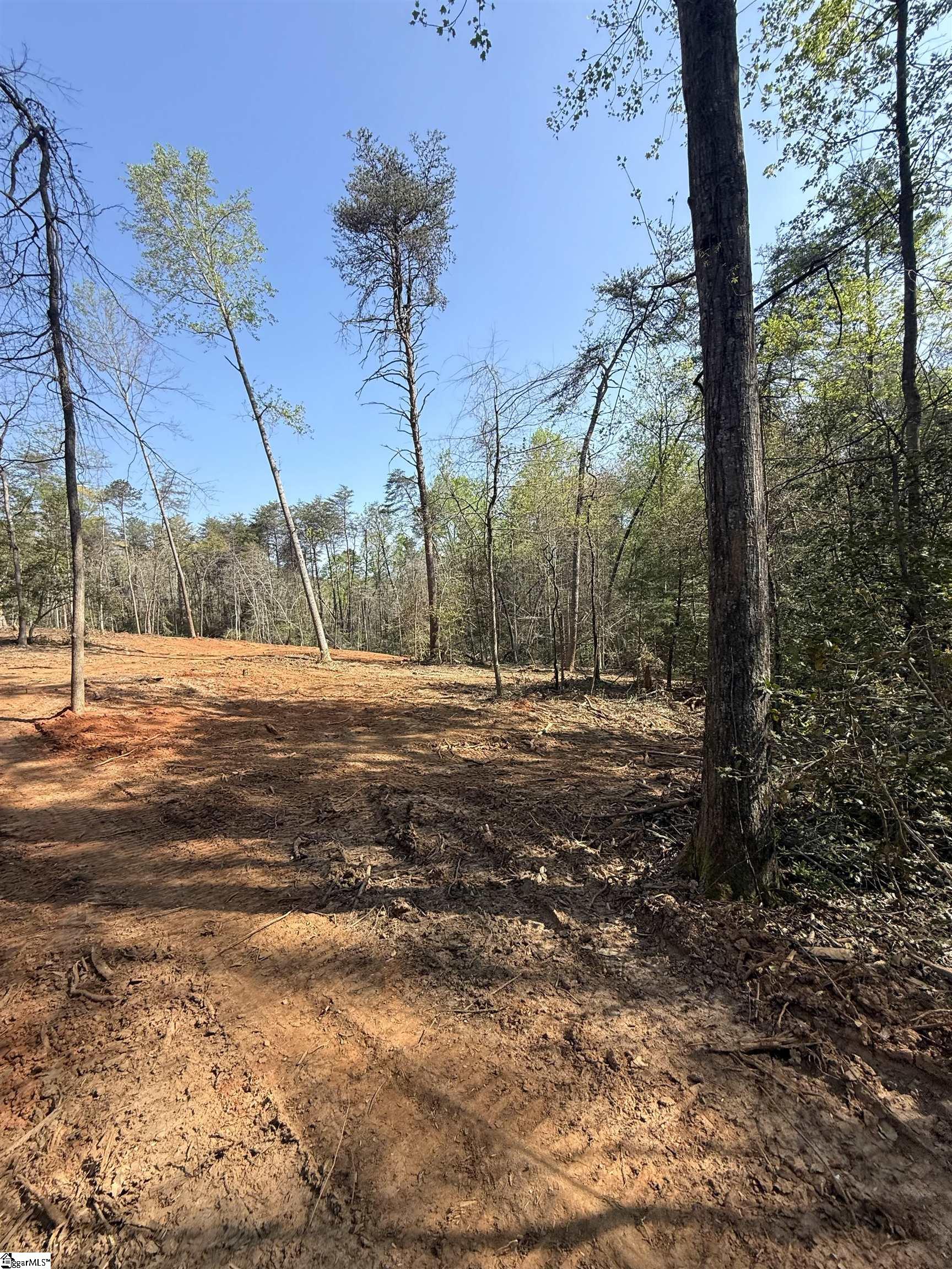 0 Thompson Road Greer, SC 29651 - Photo 2 of 31
