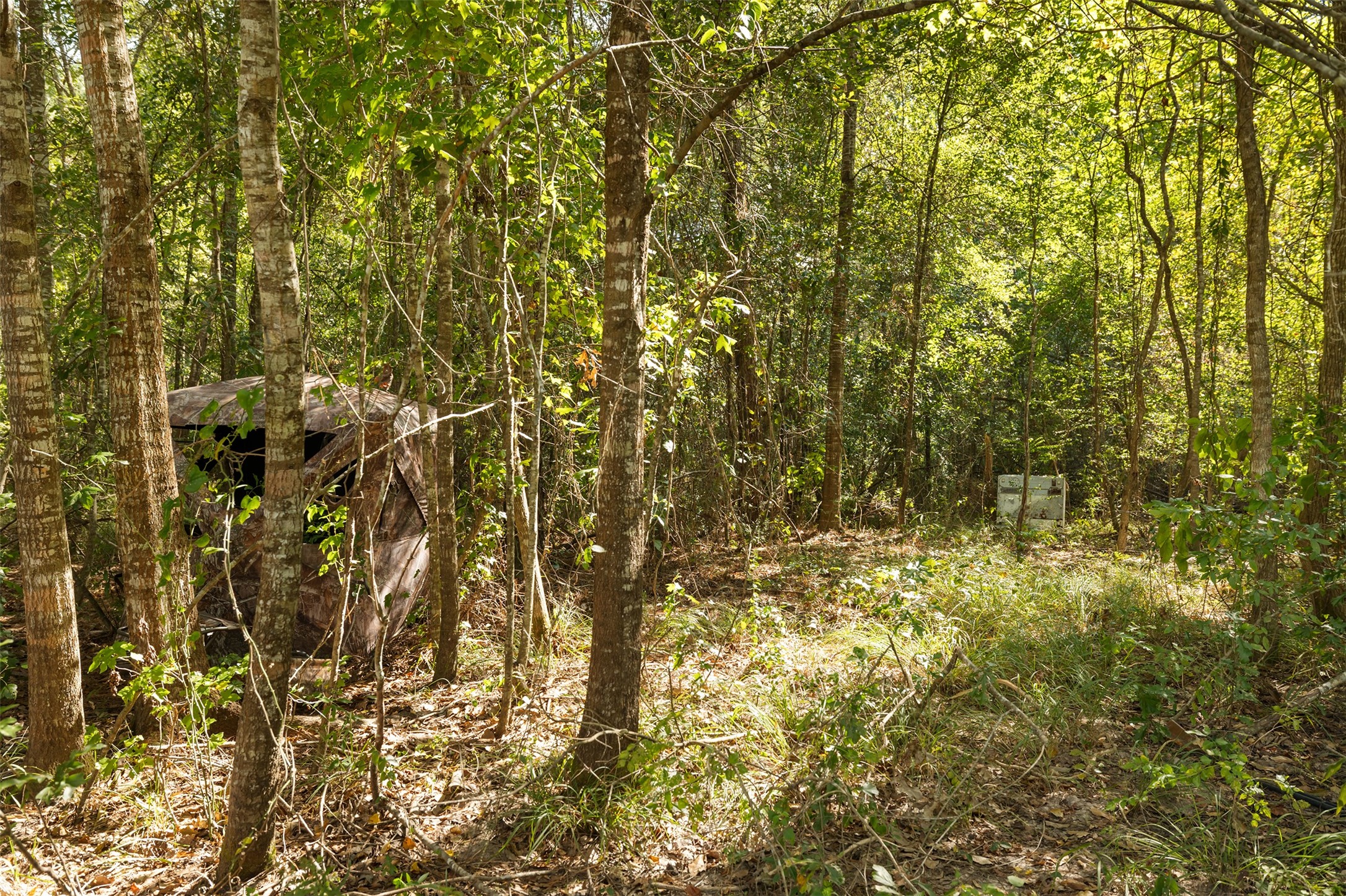 250 Gulf Oil Road Devers, TX 77538 - Photo 41 of 49 Gallery Image 41