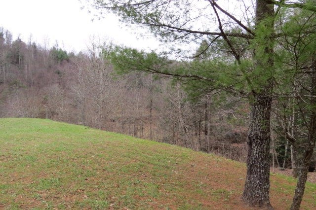 Tbd Pridemoore Road, Unit 2 Galax, VA 24333 - Photo 5 of 72 Gallery Image 5
