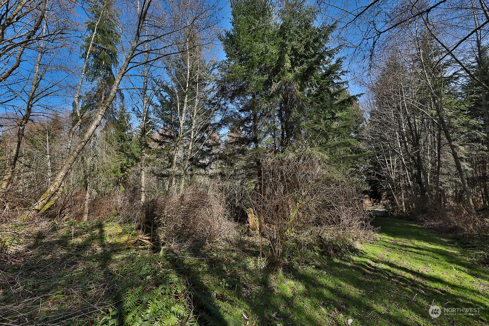 -xxx Heggeness Road Clinton, WA 98236 - Photo 3 of 10 Gallery Image 3