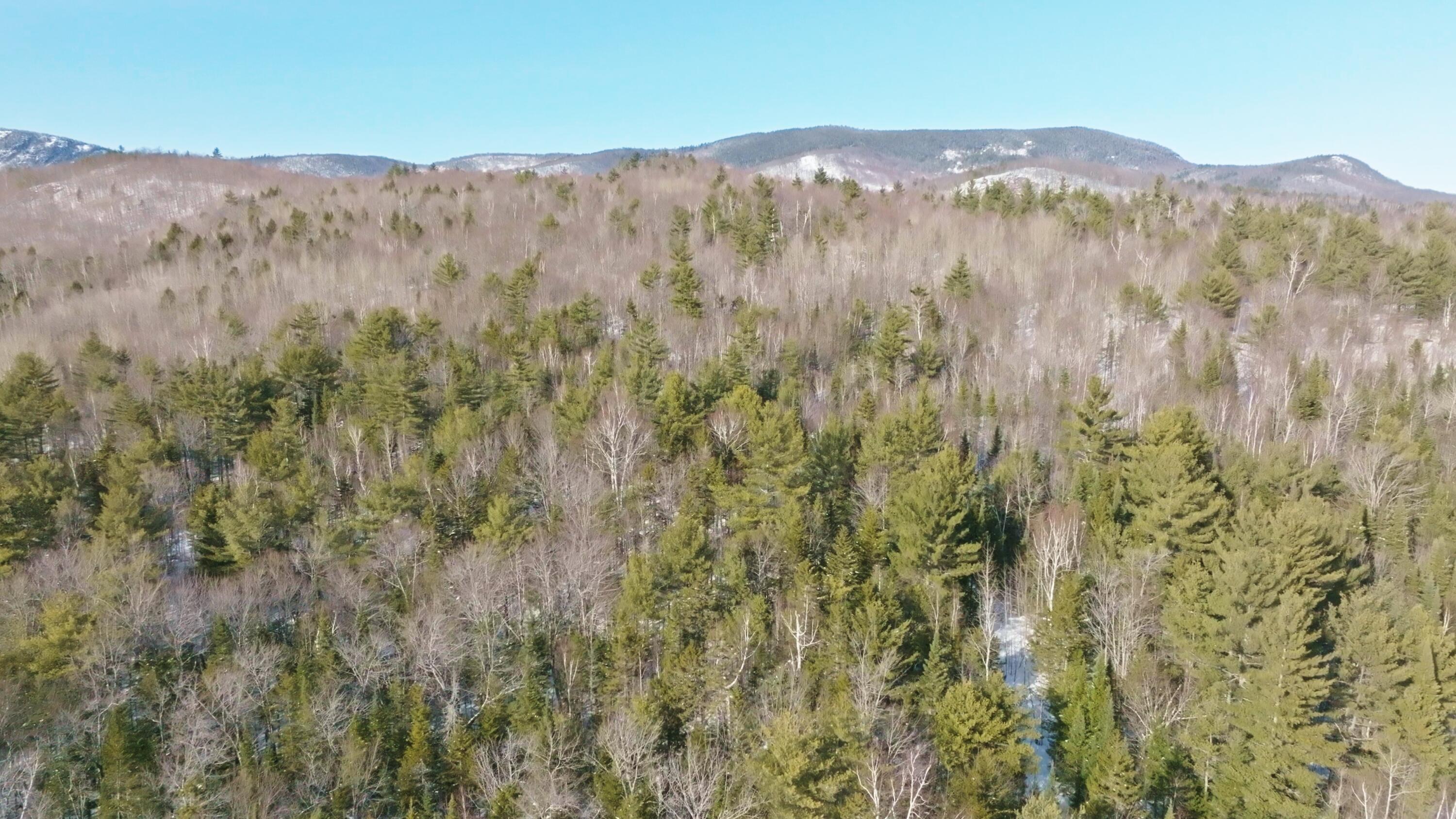 Lot 41 Redding Road Sumner, ME 04292 - Photo 6 of 22 Image_1.7.1
