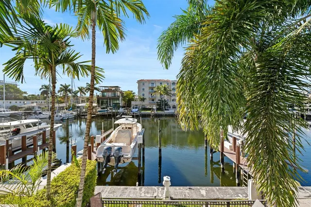 a view of a lake with a palm trees