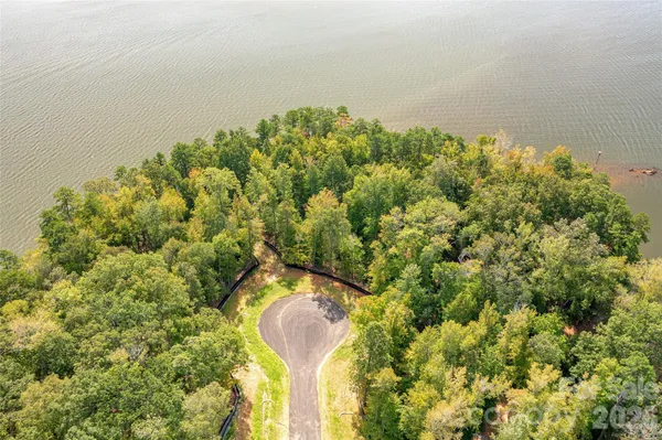 a view of a backyard with potted plants and large trees