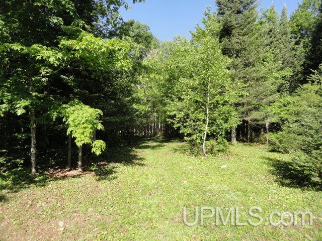 27348 Ford Road Covington, MI 49919 - Photo 26 of 36