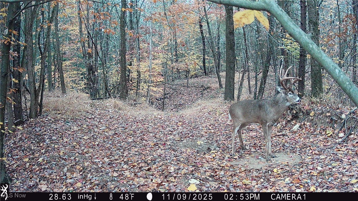 Perl Road Chandlersville, OH 43727 - Photo 32 of 48