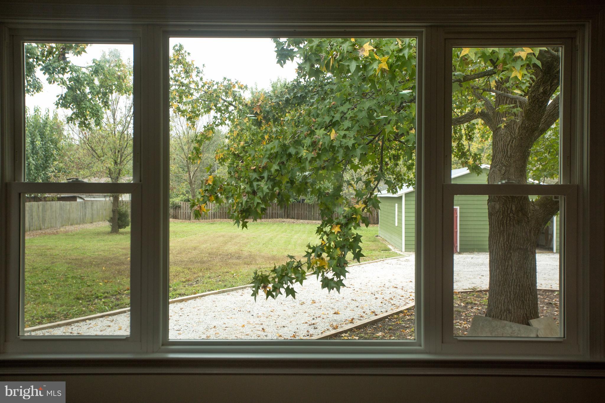 8222 Frye Road Alexandria, VA 22309 - Photo 6 of 27 View of backyard - all new windows 2016