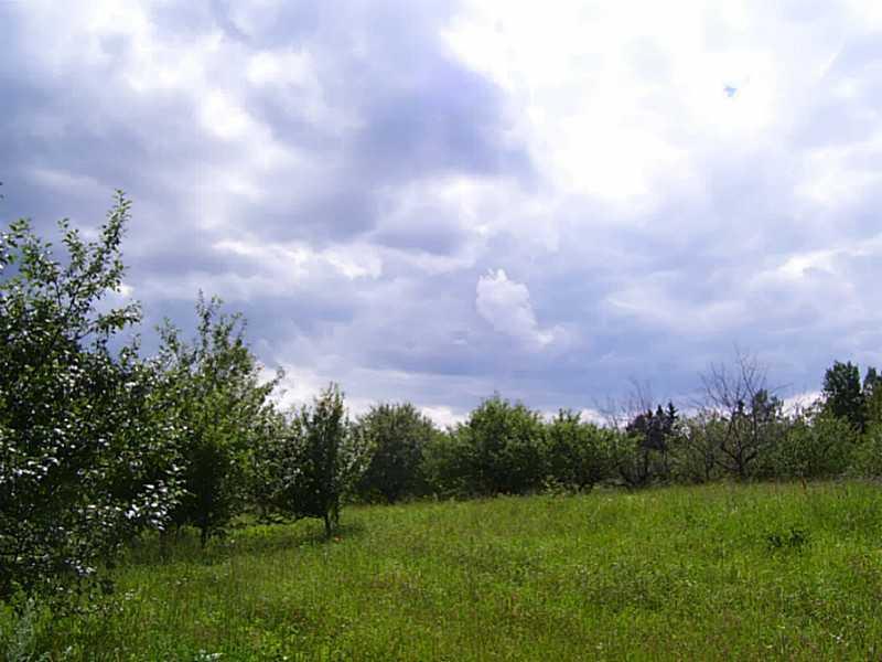 1664 Woodland Center Road Perham, ME 04766 - Photo 9 of 30 Land.