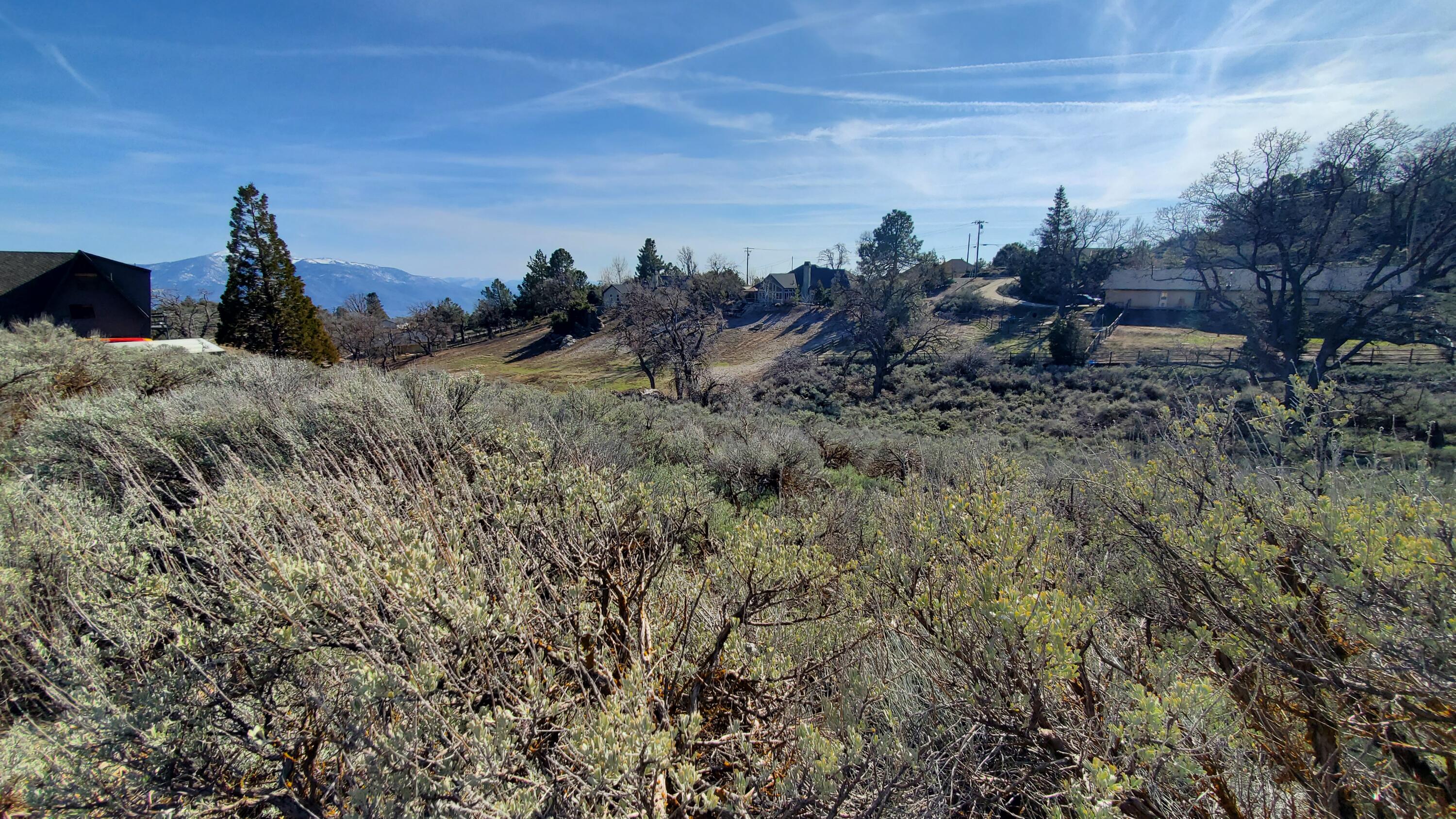 25041 Jacaranda Drive Tehachapi, CA 93561 - Photo 7 of 30 20230405_162026