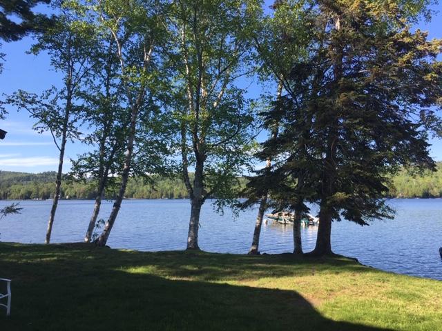 200 Rumford Road Oquossoc, ME 04964 - Photo 10 of 50 Lawn