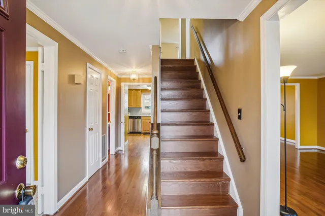 a view of staircase with lots of frames on wall and wooden floor