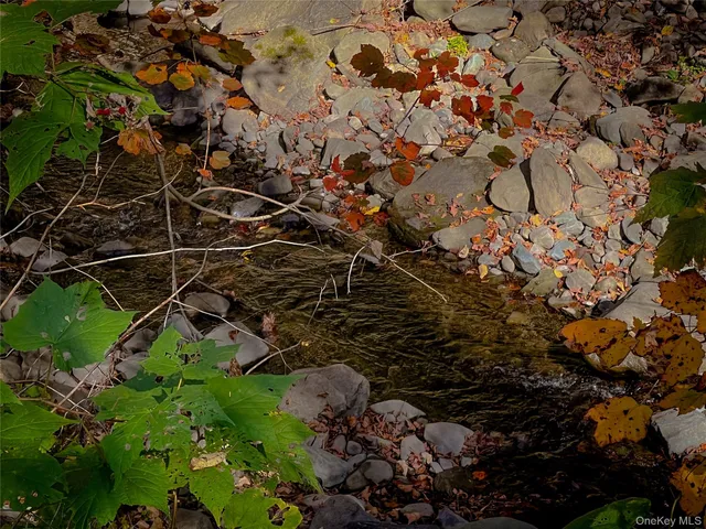 a picture of flowers