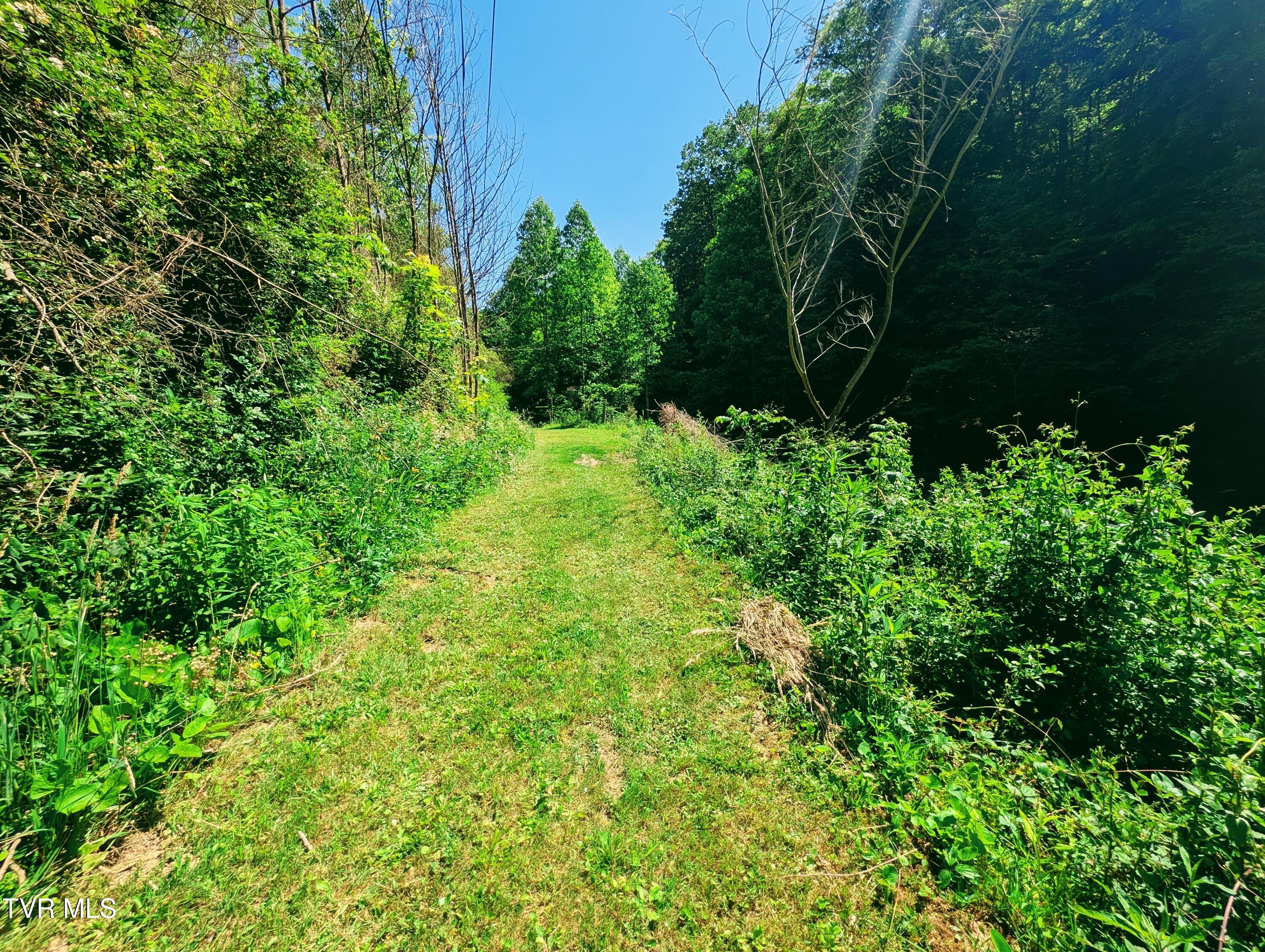 3058 Aily Road Dante, VA 24237 - Photo 24 of 54 1000022425