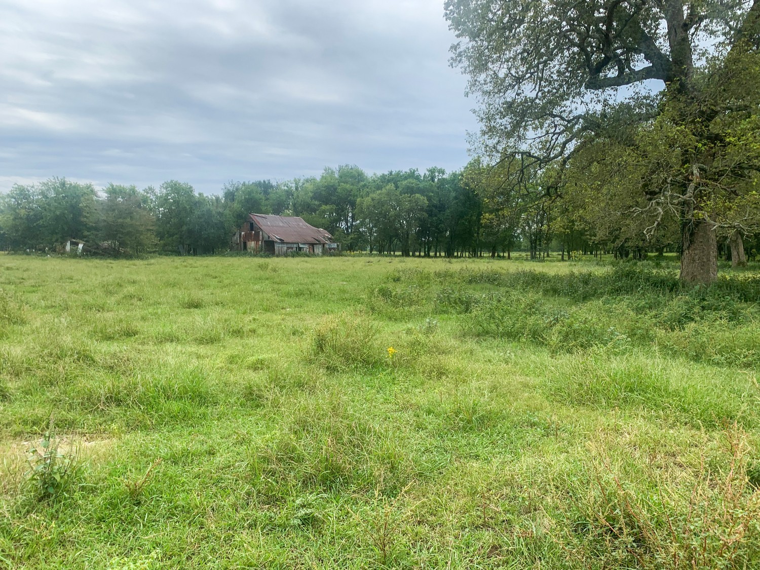 0 Couch Road Murfreesboro, TN 37127 - Photo 3 of 9 Gallery Image 3