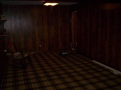 115 Robyn Drive Winchester, KY 40391 - Photo 5 of 5 Would make a great rec rooom.