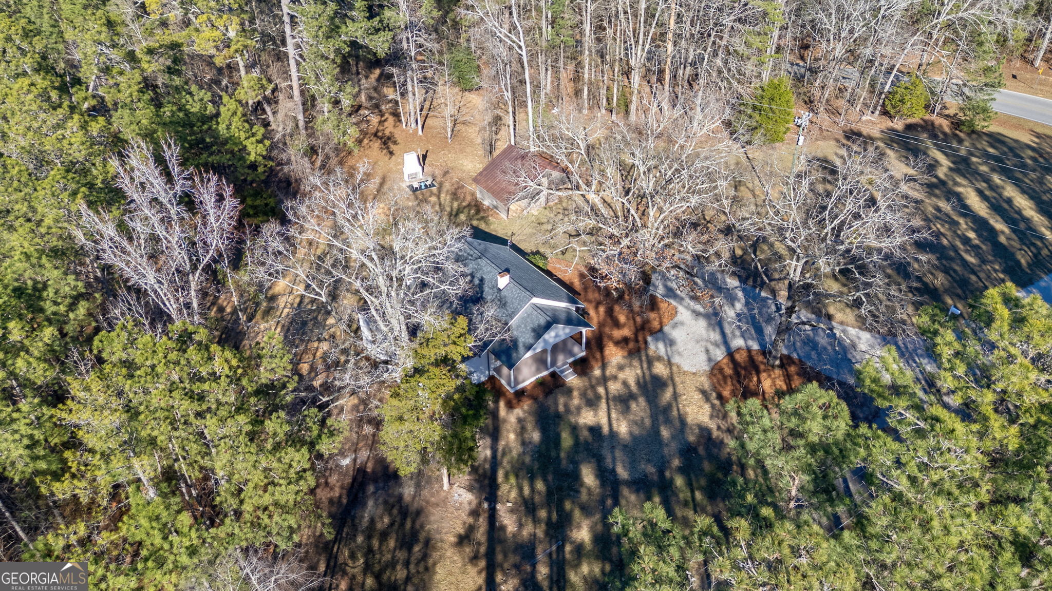 1021 Twins Road Greensboro, GA 30642 - Photo 30 of 32 a view of a tree in a forest
