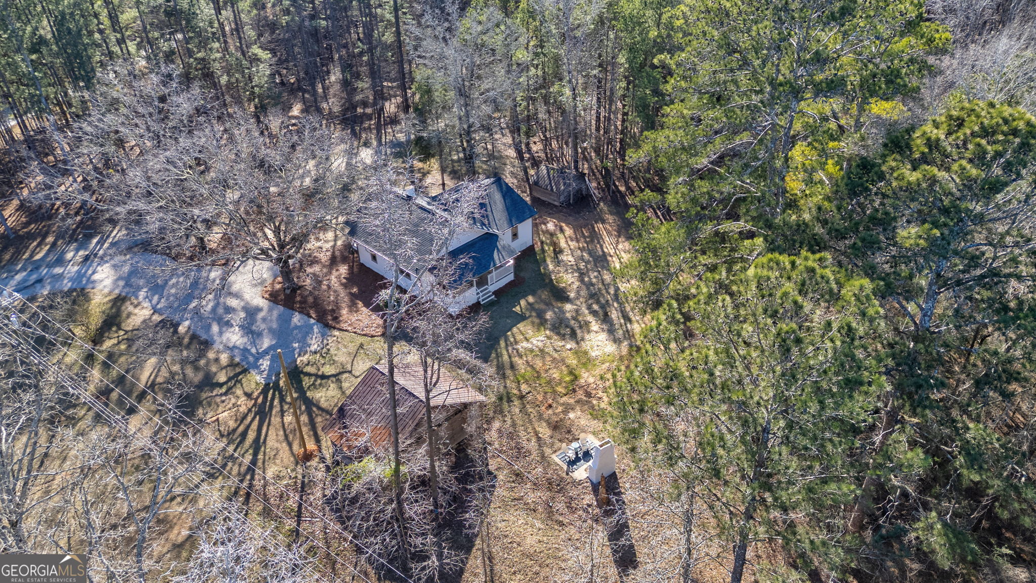 1021 Twins Road Greensboro, GA 30642 - Photo 32 of 32 a picture of tree