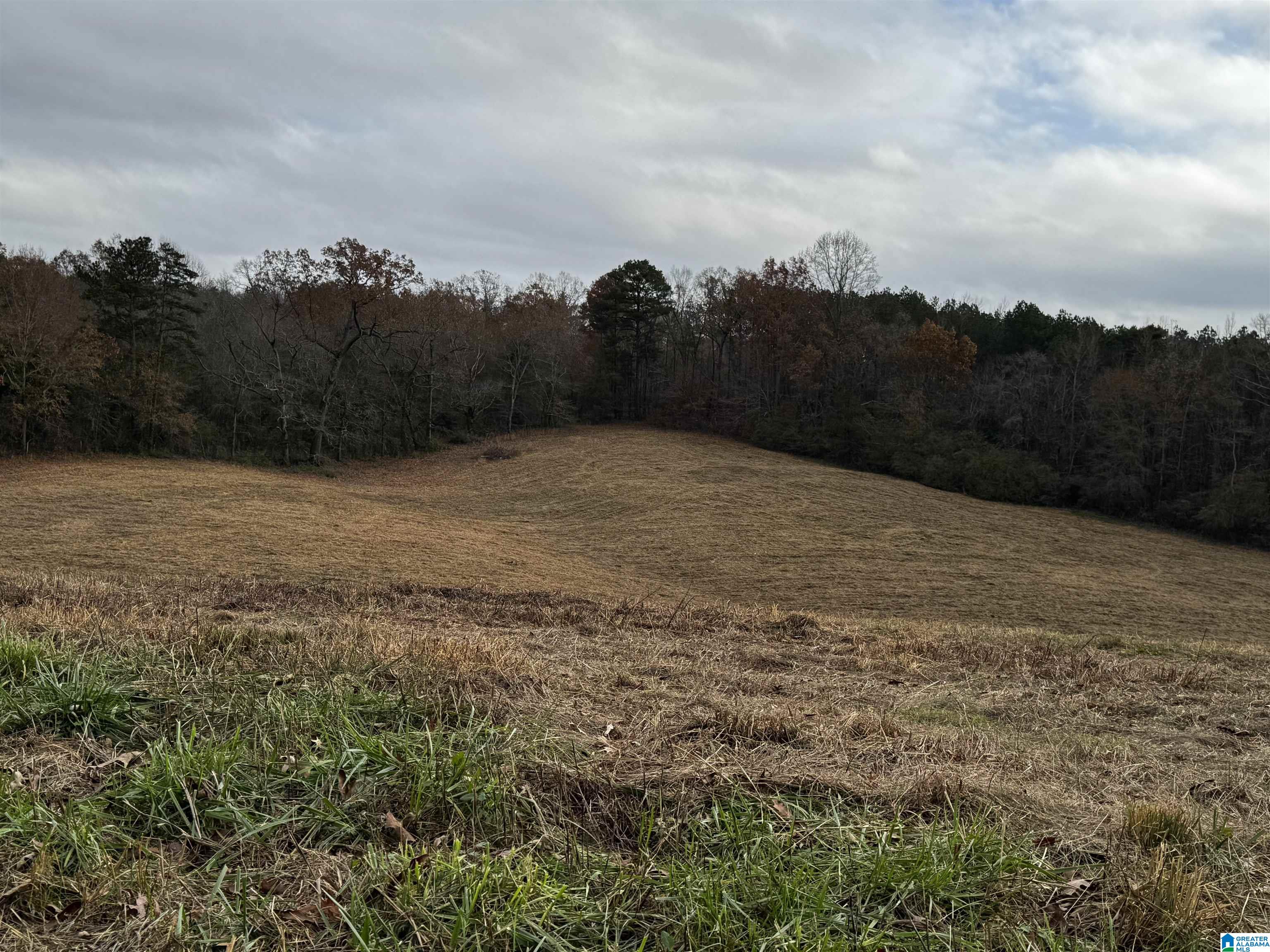 0 Sawmill Road Blountsville, AL 35031 - Photo 3 of 5