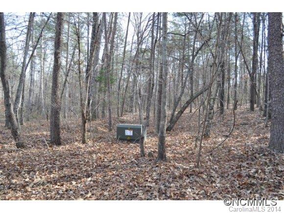 523 Collinsville Road Columbus, NC 28722 - Photo 24 of 24 Gallery Image 24