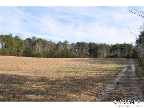 523 Collinsville Road Columbus, NC 28722 - Photo 5 of 24 Gallery Image 5