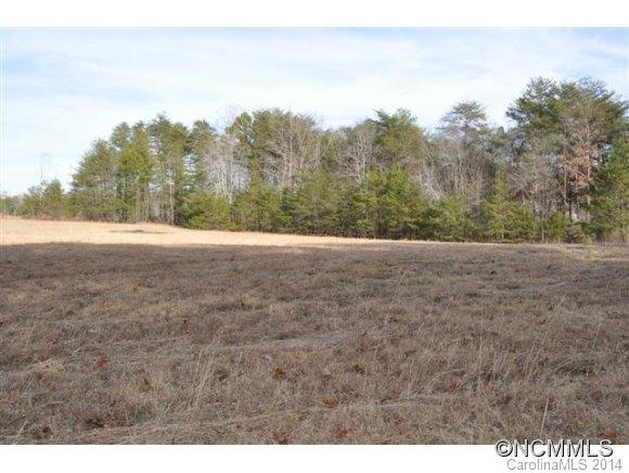 523 Collinsville Road Columbus, NC 28722 - Photo 6 of 24 Gallery Image 6