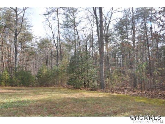 523 Collinsville Road Columbus, NC 28722 - Photo 7 of 24 Gallery Image 7