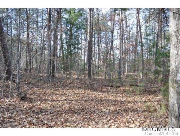 523 Collinsville Road Columbus, NC 28722 - Photo 8 of 24 Gallery Image 8