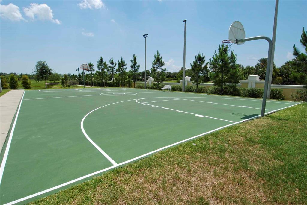 5335 Sandy Shell Drive Apollo Beach, FL 33572 - Photo 48 of 49 Gallery Image 48