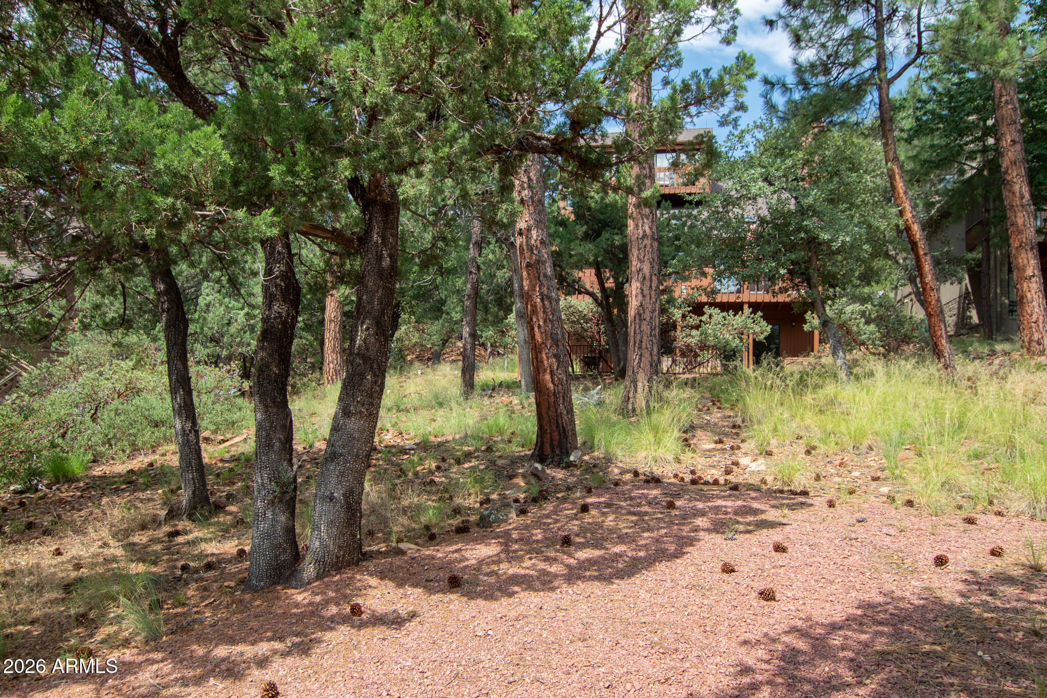 5120 Juniper Loop Pine, AZ 85544 - Photo 49 of 54 a backyard of a house with lots of trees