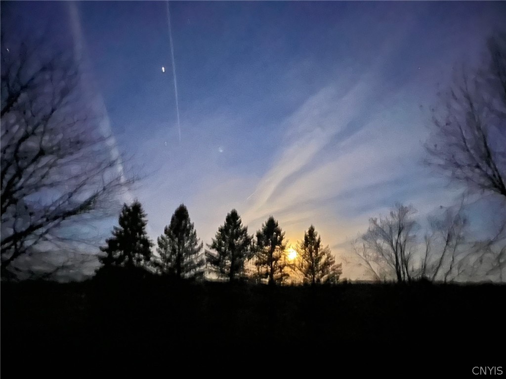 9339 Crooked Hill Road Paris, NY 13318 - Photo 40 of 50