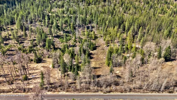 $149,000 | Nka Nka Scott (lot 25) Lane, Sandpoint, ID 83864