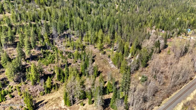 $149,000 | Nka Nka Scott (lot 25) Lane, Sandpoint, ID 83864