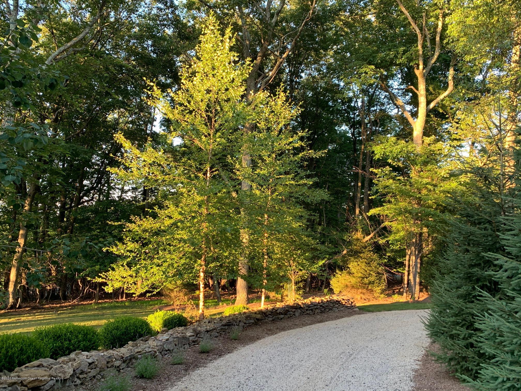 37 Ridge Road Lebanon, NJ 08833 - Photo 79 of 82 a view of a yard with plants and trees