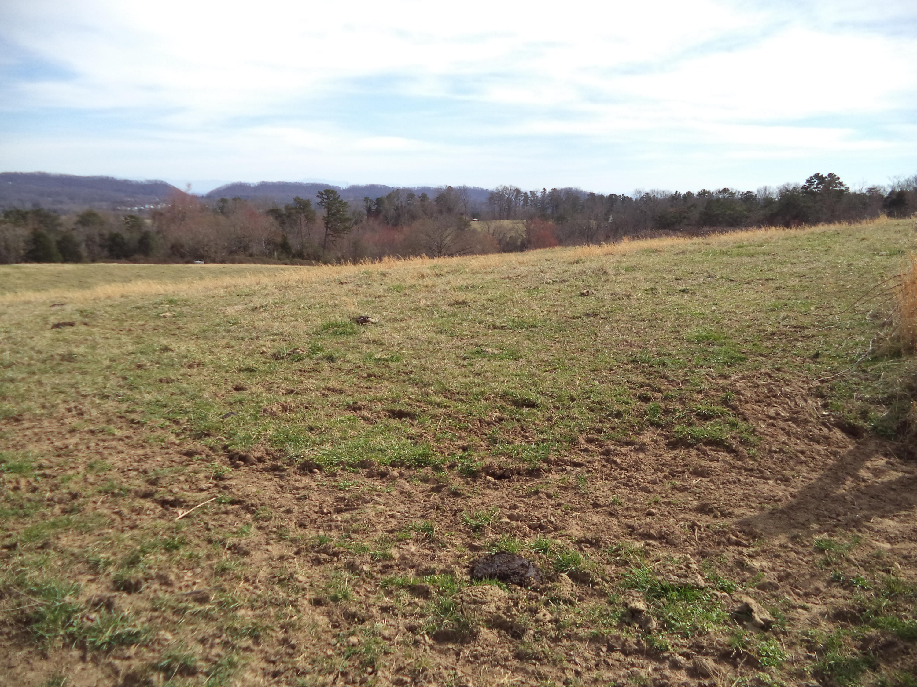 Ridgeview Road Corryton, TN 37721 - Photo 9 of 18 Build Your Dream Home!