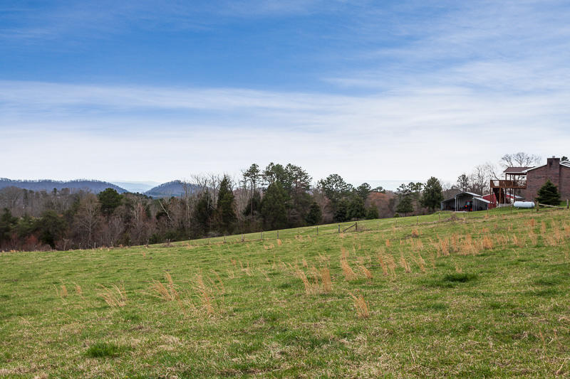 Ridgeview Road Corryton, TN 37721 - Photo 10 of 18 Country Setting
