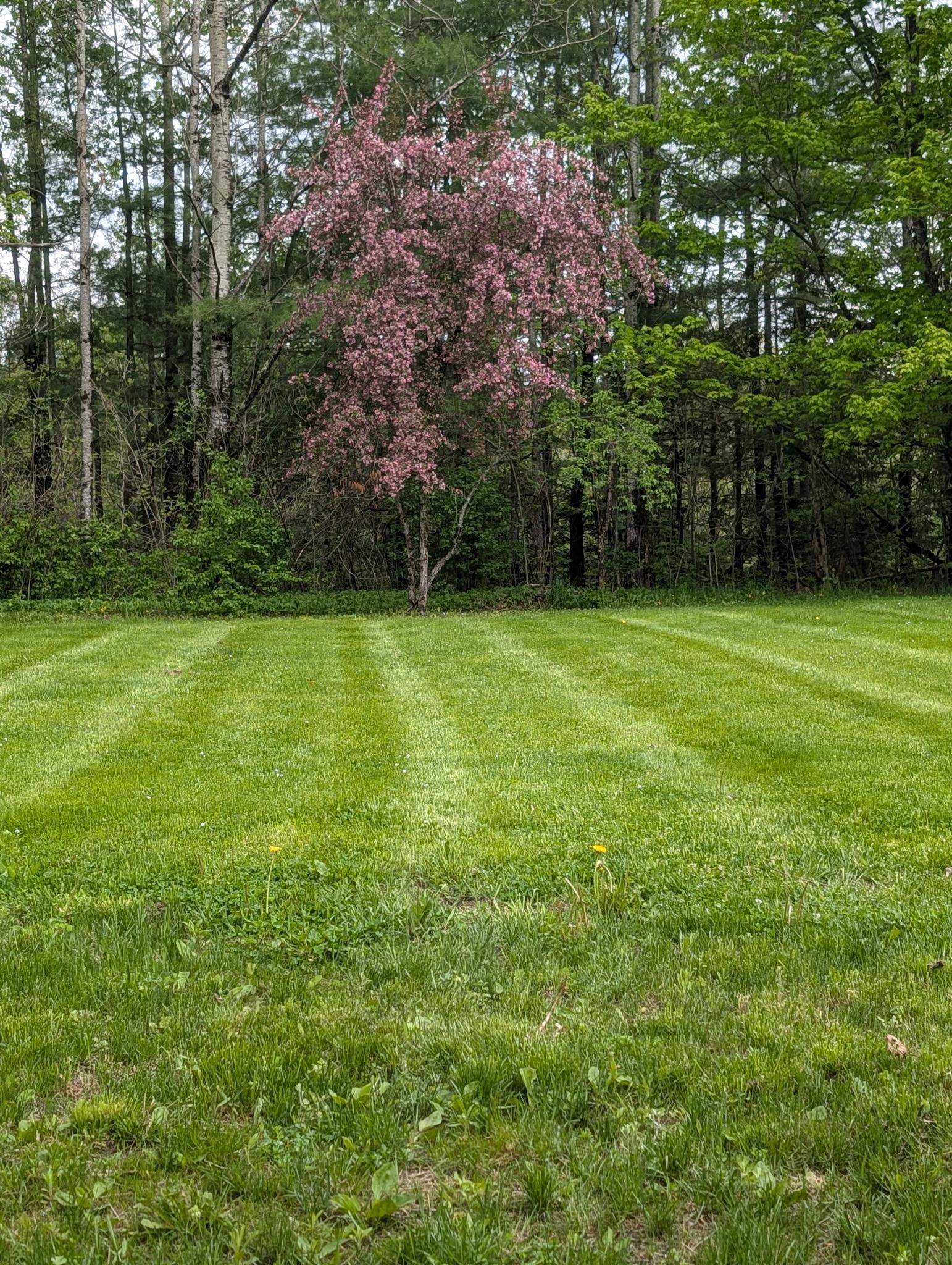 233 Depot Street Burke, VT 05871 - Photo 2 of 3