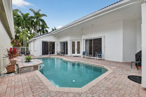 a view of a yard with plants and a large tree