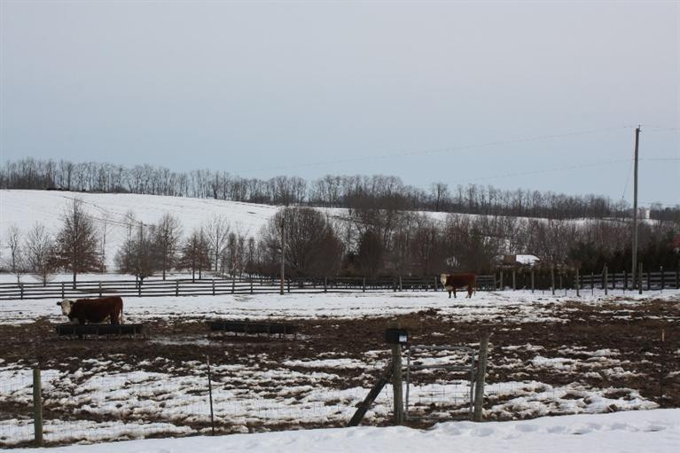878 Sebree Road Stamping Ground, KY 40379 - Photo 25 of 36 Photo 25